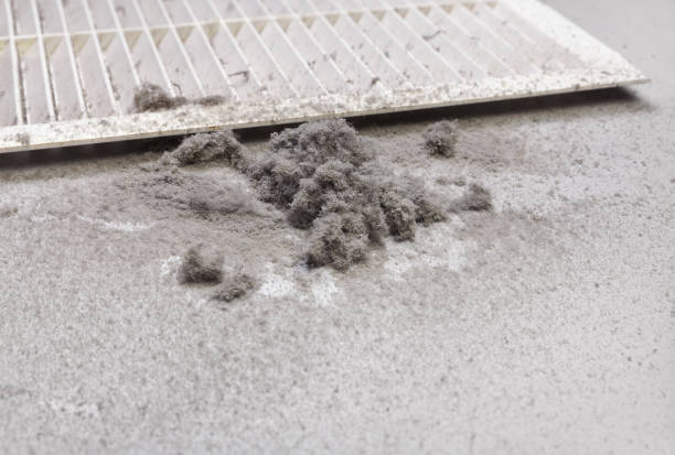 Best Dryer Vent Cleaning Services  in Elkhorn, WI