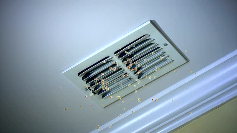 Best Affordable HVAC Duct Cleaning  in Elkhorn, WI