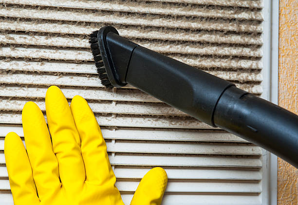 Best Commercial Air Duct Cleaning  in Elkhorn, WI